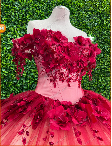 Instock 3D Flowers Quinceanera dresses