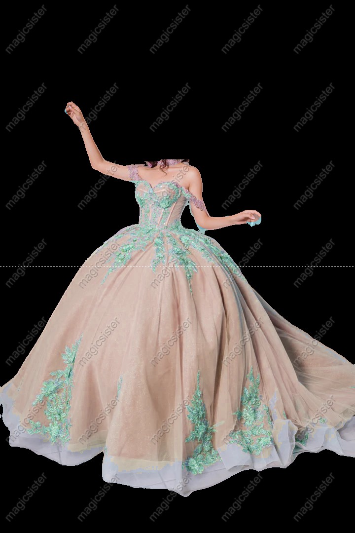 Instock Factory 3D Embroidered Floral Quinceanera Dress