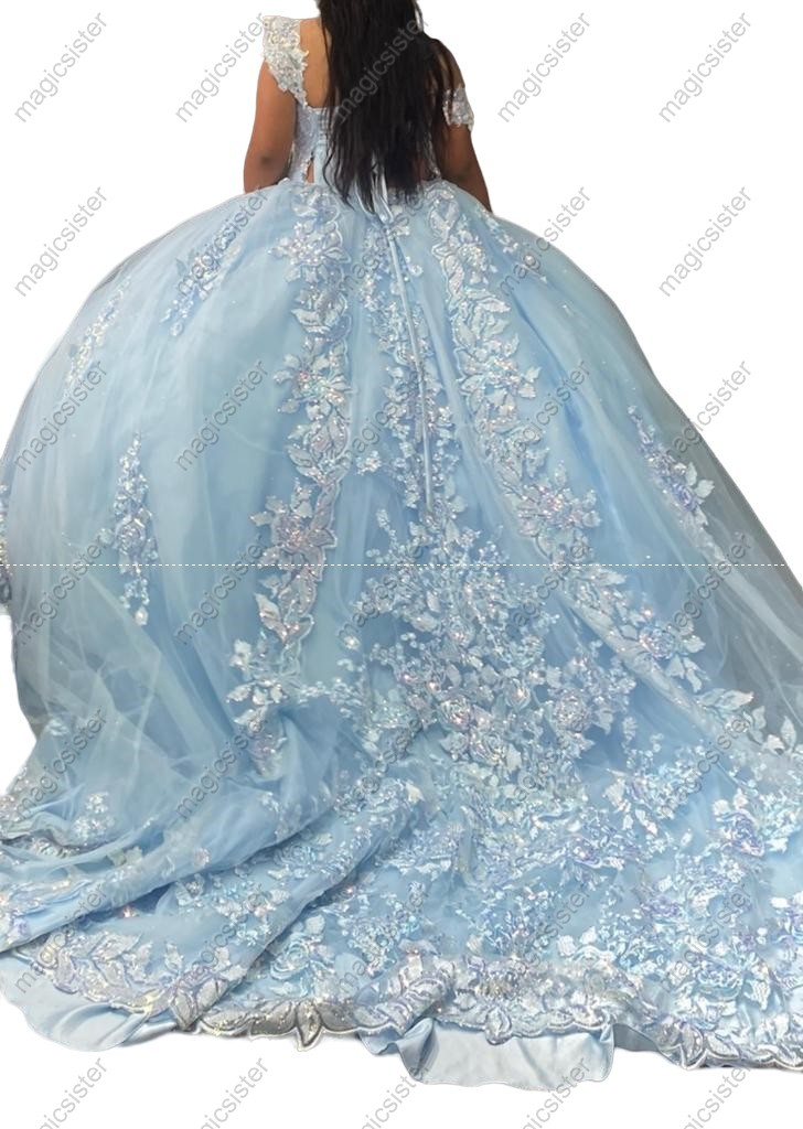 Luxury Factory Wholesale Glitter Floral Appliques Quinceanera Dress
