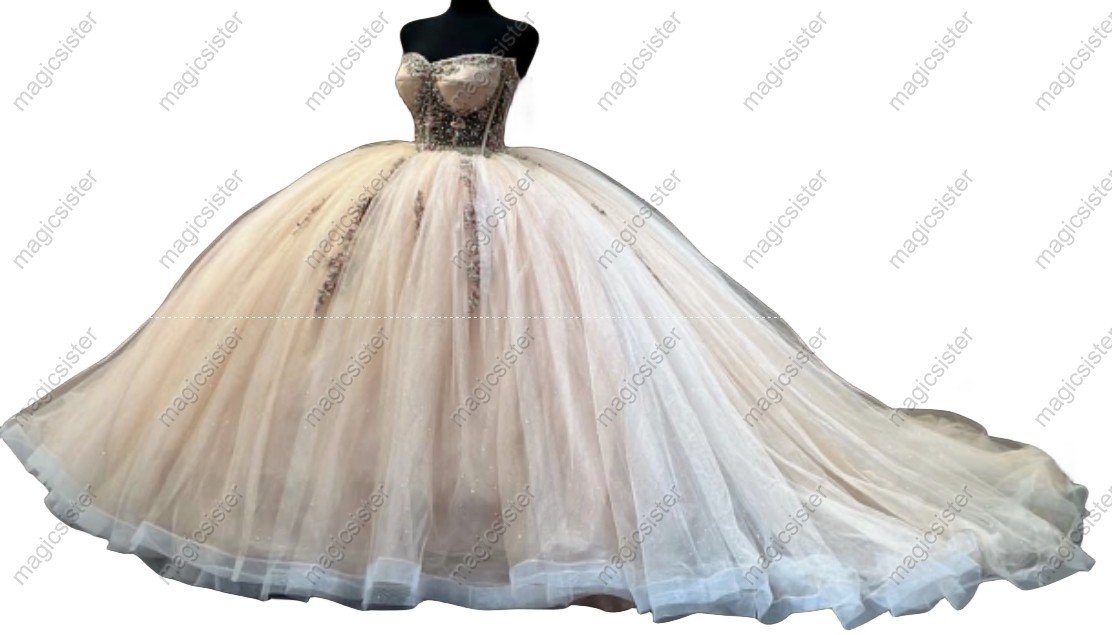 Hotselling Customed Make Quinceanera Dress