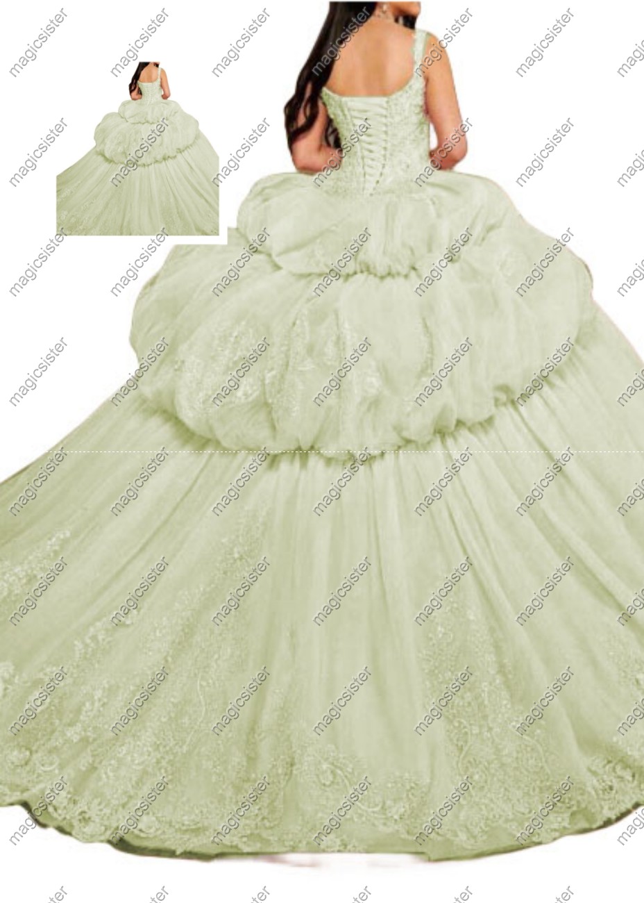 Sage Factory wholesale Luxurious Floral Appliques Quinceanera Ball Gowns