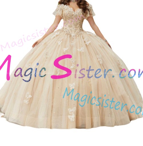 Hotselling New Style Butterfly Quinceanera Dress