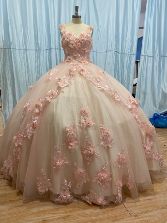 Blush In stock 3D Flowers Quinceanera dresses