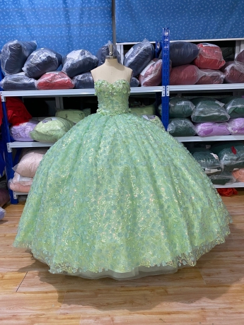 Top Selling Instock Sage 3D Flowers Quinceanera dresses