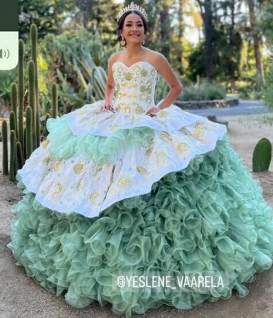 Top Selling Instock Embroidery Flowers Quinceanera dresses