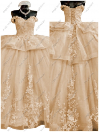 Luxurious Factory Wholesale Floral Appliques Quinceanera Ball Gowns