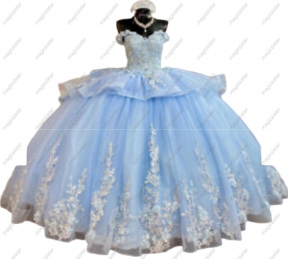Luxurious Floral Appliques Quinceanera Ball Gowns