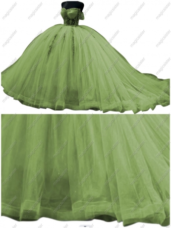 Sage Hotselling Customed Make Quinceanera Dress