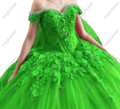 Sparkly Customized 3D Floral Quinceanera Dress