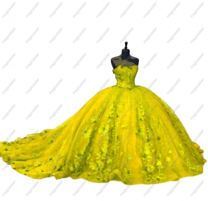Customized 3D Floral Quinceanera Dress