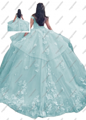 Factory wholesale Customized 3D Floral Quinceanera Dress