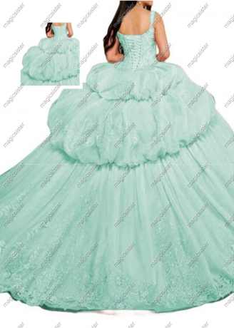 Sage Factory wholesale Luxurious Floral Appliques Quinceanera Ball Gowns