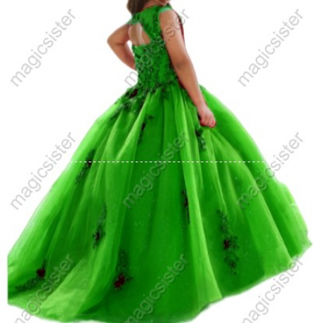 Beautiful Mini Quinceanera Dress