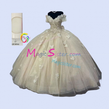 Real Sample Quinceanera Dress