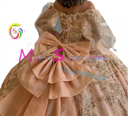 Hotselling New Style Butterfly Quinceanera Dress