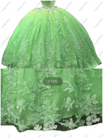 Glitter Factory Wholesale Floral Appliques Quinceanera Dress