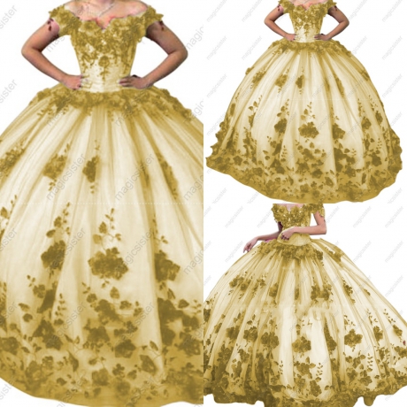 Ball Gown Quinceanera Dresses Off Shoulder Lace up Back Sweep Train 3D Floral