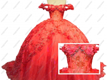Princess Ball Gown Quinceanera Dresses Appliques Lace Beads Sweet 16 Dress Lace up Birthday Gowns